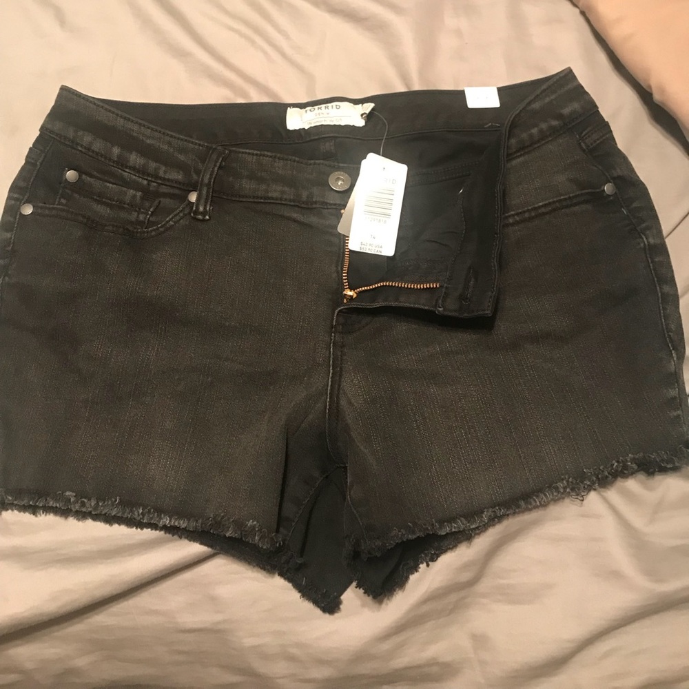 Brand new with tags torrid shorts!
